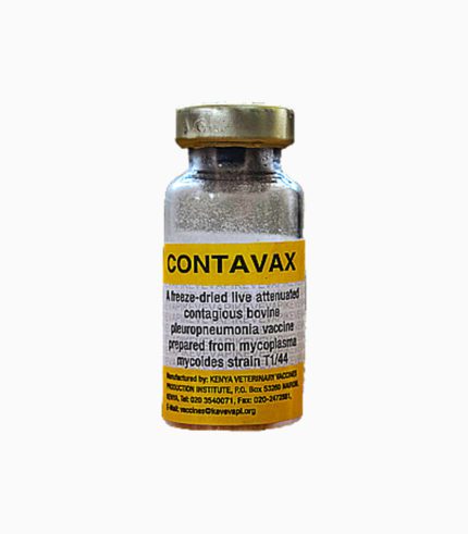 Contagious Bovine Pleuropneumonia (CBPP) vaccine - Contavax