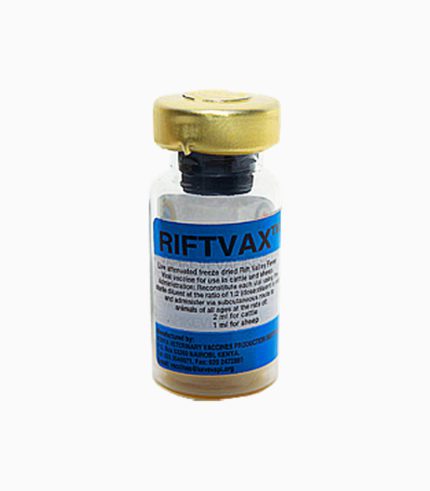 Rift Valley Fever (RVF) vaccine