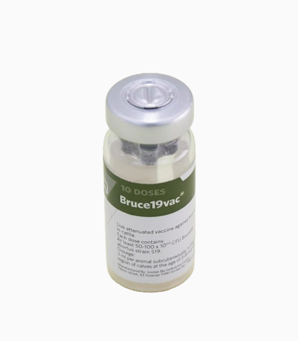 Brucella Abortus S19 Vaccine