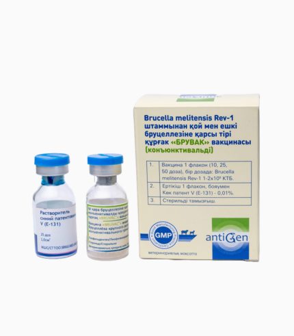 Brucella Melitensis Vaccine