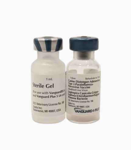 DHLP Vaccine