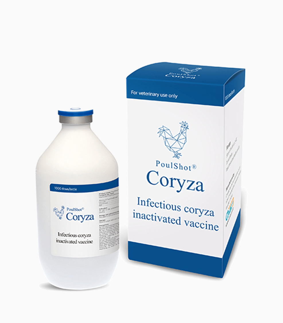 Infectious Coryza Disease Vaccine