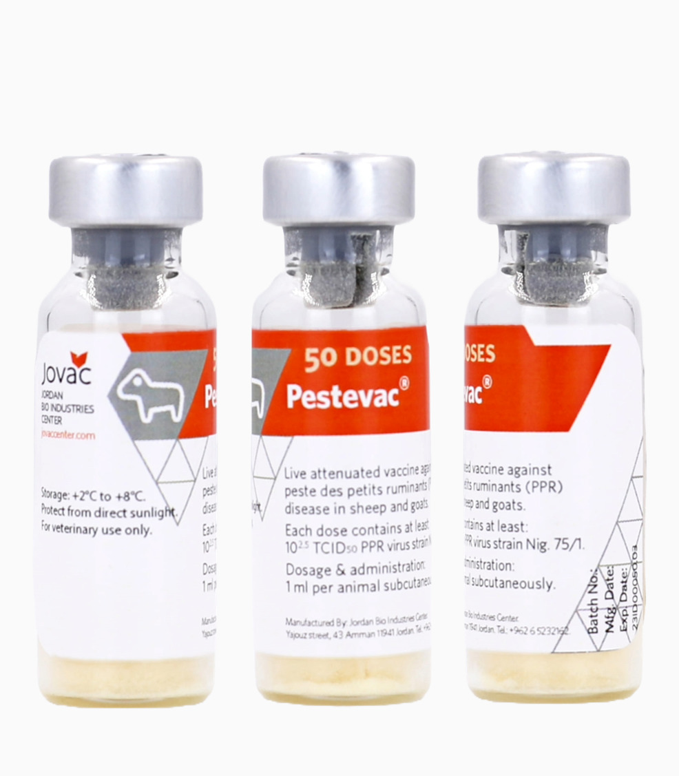 Peste des Petits Runinants PPR Vaccine