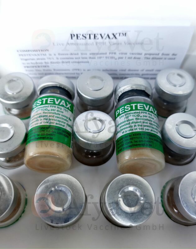 Pestevax PPR vaccine